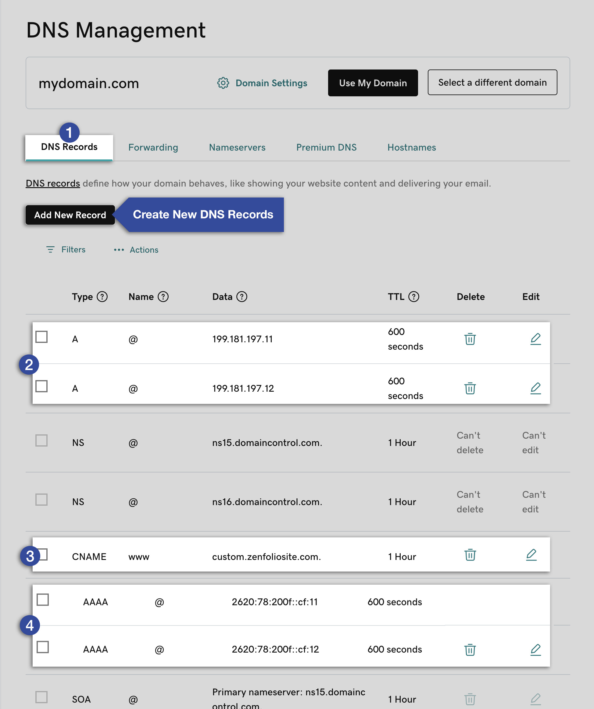 04b-GoDaddy-DNS-correct-records-for-Zenfolio.png