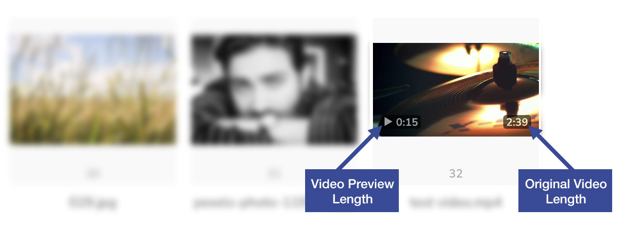 video preview 3.jpg