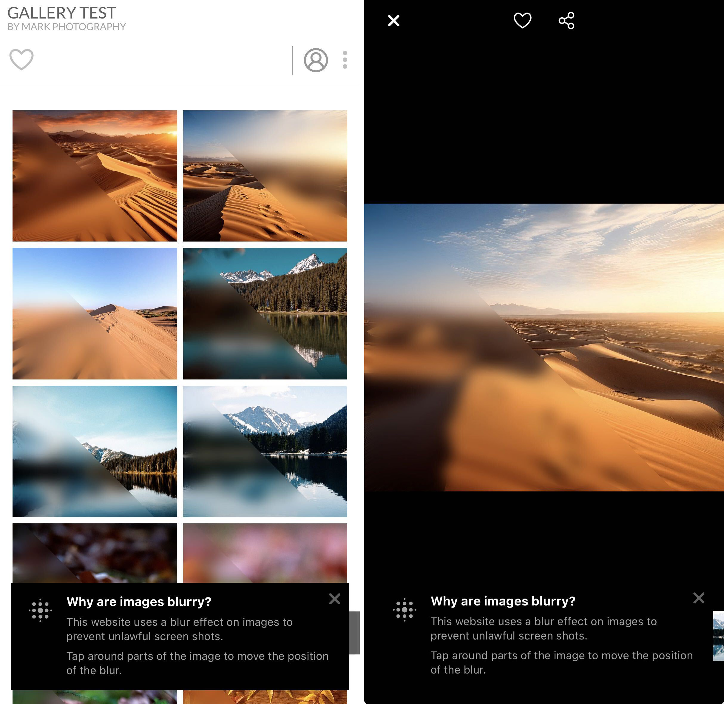 Screenshot Protection 6.jpg
